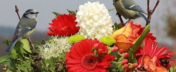 zwei Vögel am Blumenstrauß