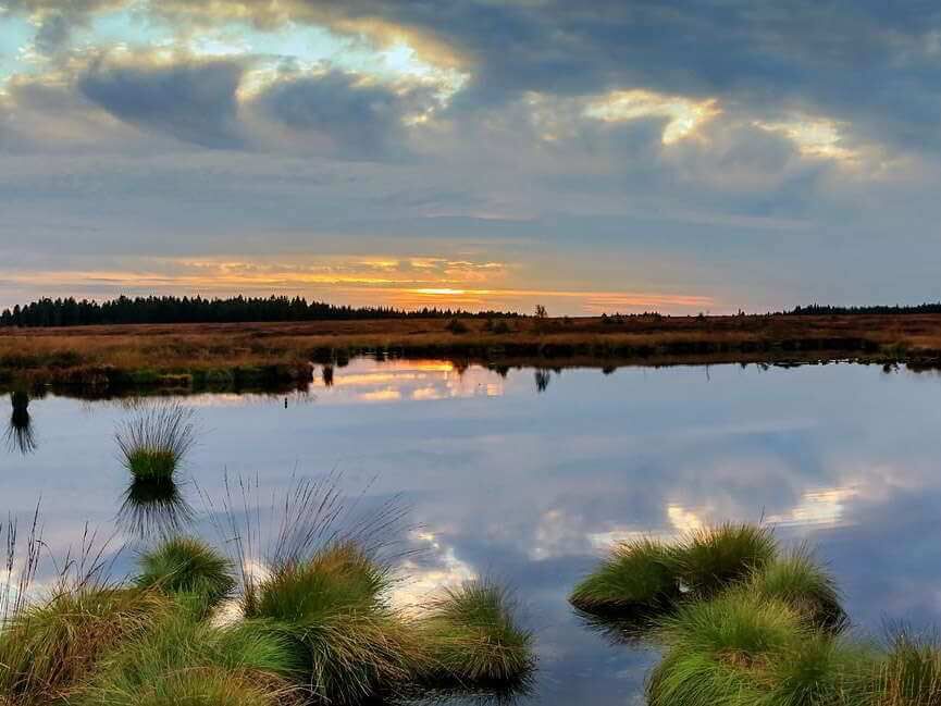 Ein Moor in der Abenddämmerung.