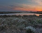 Sonnenuntergang am Dümmer See