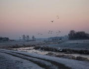 Winterstimmung am See