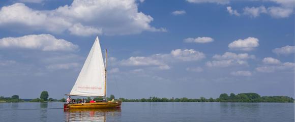 Segelboot mit gesetzten Segel auf See