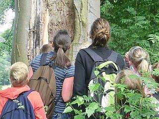 Vier Personen sehen sich einen Baum an