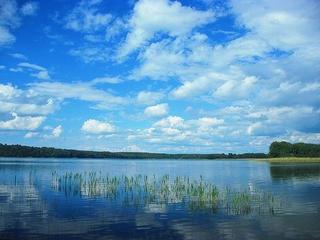 Blick über See