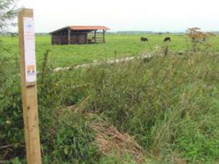 Eine kleine Informationstafel mitten im Grünen.