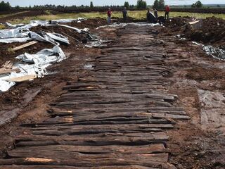 Weg mit Bohlenstegen