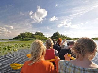 fliegender Schwarm Trauerseeschwalbe