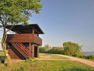 Aussichtsturm Dümmer Nordufer.