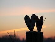 zwei Herzen aus Holz bei Sonnenuntergang