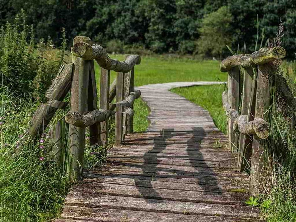 Großaufnahme: Ein Holzweg führt über eine Holzbrücke in ein Waldgebiet.