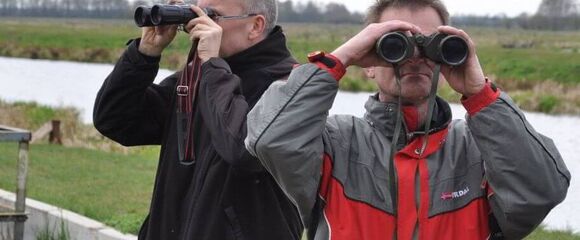 Zwei Beobachter mit Fernglas im offenen Feld