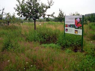 Eine große Informationstafel auf einer Streuobstwiese.