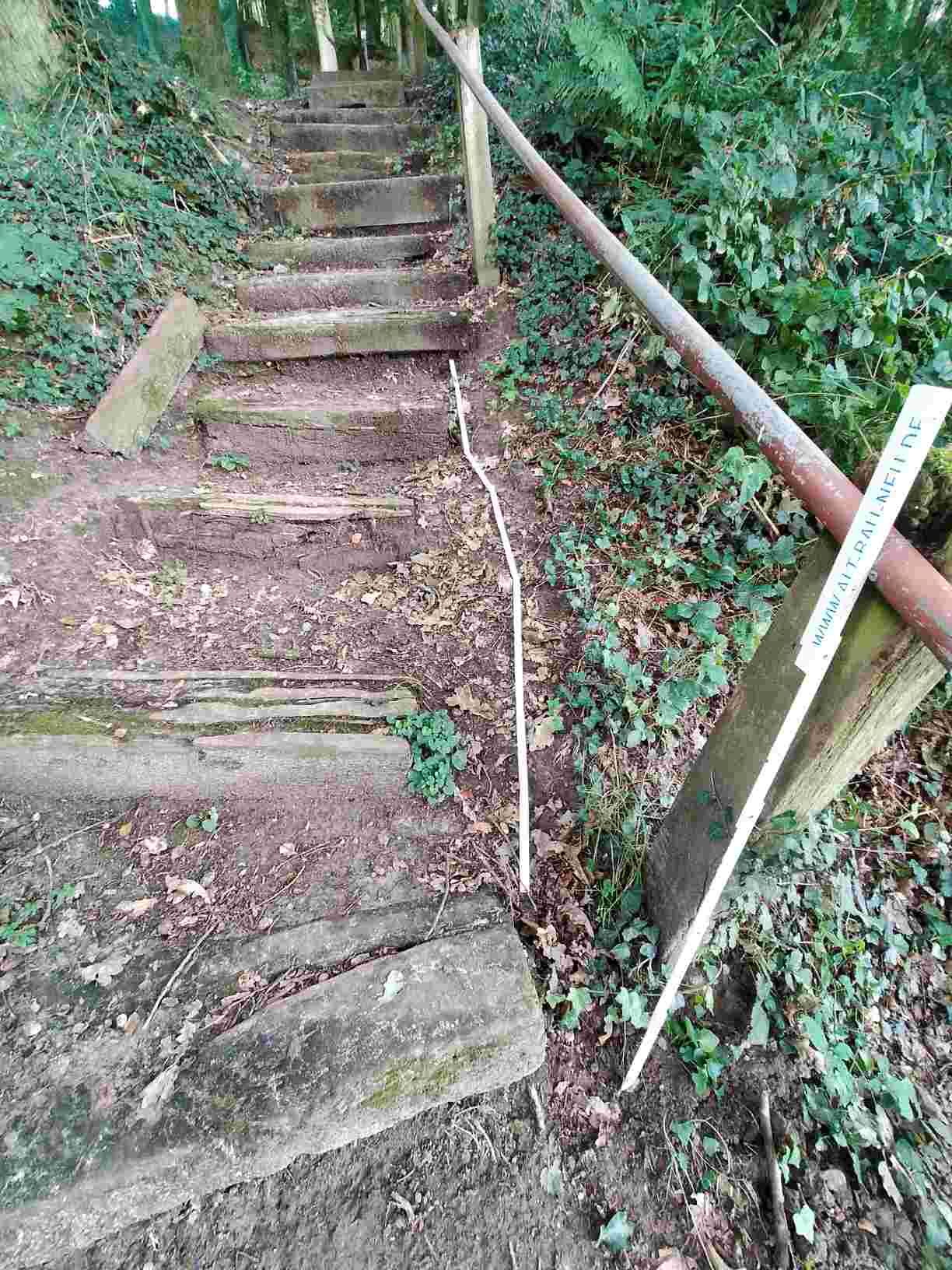 Alte Treppe Freudeneck