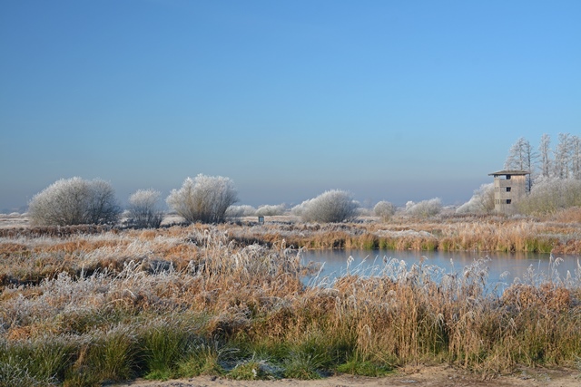 In einer flachen, weiten Landschaft stehen einige Büsche und am Rand eines Wäldchens ein Aussichtsturm aus Holz. Davor guckt eine Wasserfläche aus dem hohen Gras. Alles ist mit Raureif überzogen. Am blauen Himmel ist keine Wolke zu sehen.