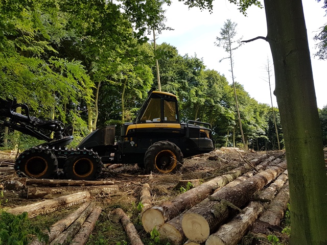 Ein Harvester steht auf einer Freifläche im Wald. Im Vordergrund liegen einige entastete und gekappte Holzstämme.
