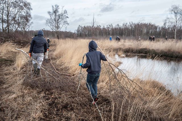 Kinder tragen abgeschnittene Äste durch eine Moorlandschaft.