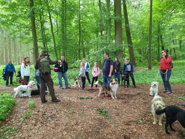 Mehrere Menschen mit Hund lauschen den Erklärungen eines Natur- und Landschaftsführers. Sie stehen auf einer Kreuzung im Wald.