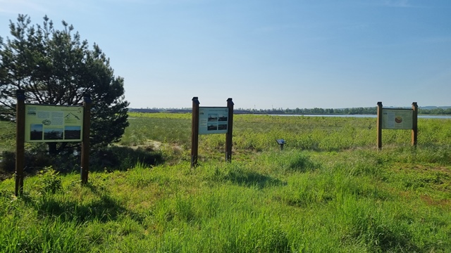 3 Infotafeln stehen auf einer mit Gras bewachsenen Fläche. Hinter den Tafeln ist neben einer kleinen Kiefer eine weite, offene Landschaft mit einer Wasserfläche in der Ferne zu sehen.