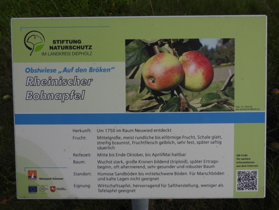 Obstortenschild für den Rheinischen Bohnapfel