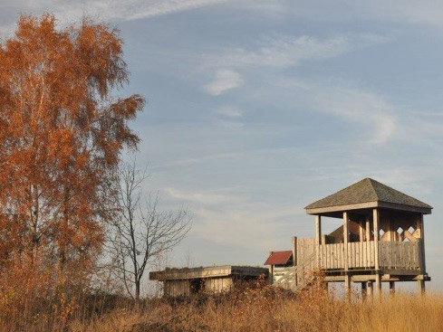 Beobachtungsstand im Oppenweher Moor.