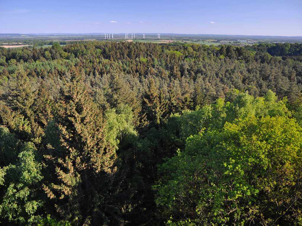 Moorlandschaft