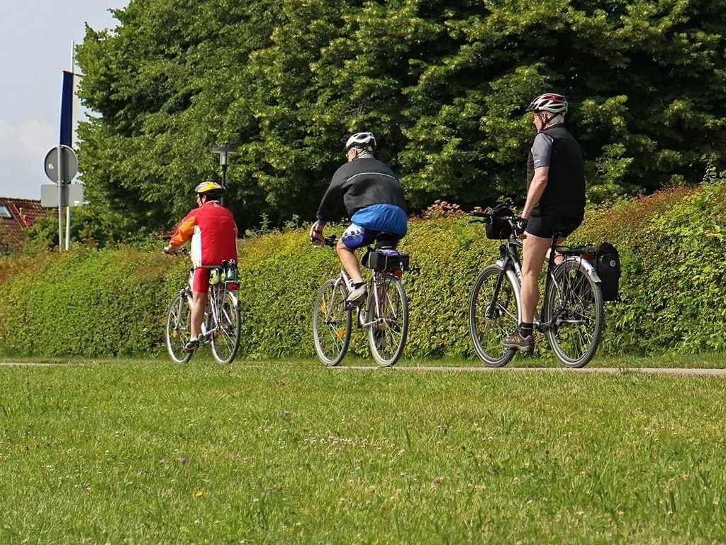 Drei Fahrradfahrer fahren entlang einer Wiese.