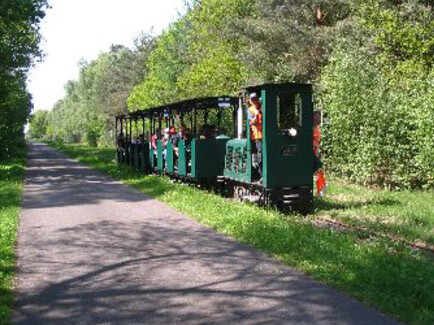 Moorbahn im Moor