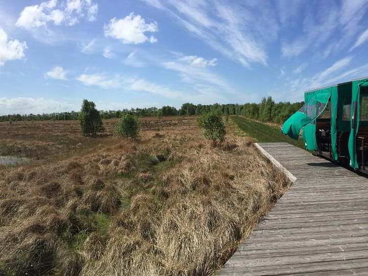 Ein Holzsteg inmitten einer Moorlandschaft. Am Steg hält gerade die Moorbahn.