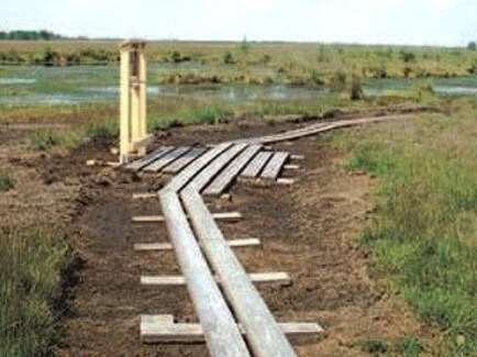 Holzweg im Moor