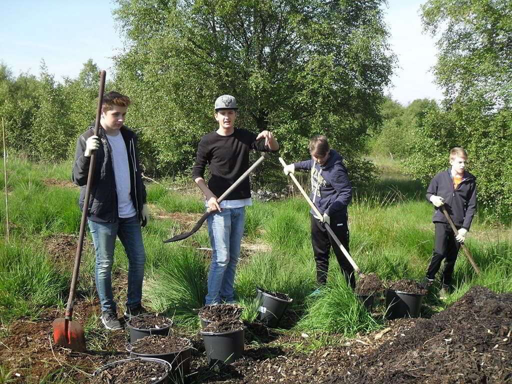 Vier Jungen im Grünen. Sie schaufeln Erde in Eimer.