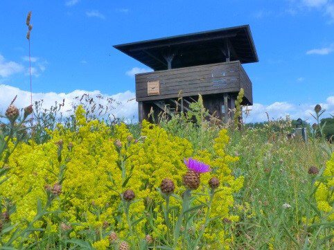 Aussichtsturm Dümmer Südufer.